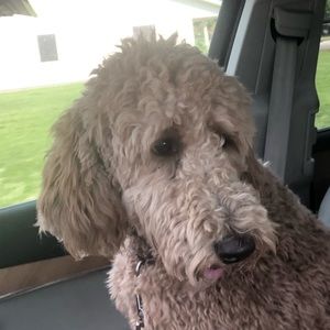 Meet your Posher, Christy